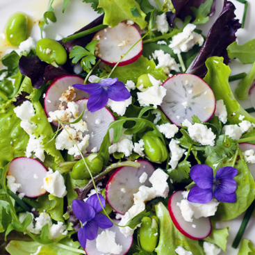 20210330 Spring salad banner product-get-inspired